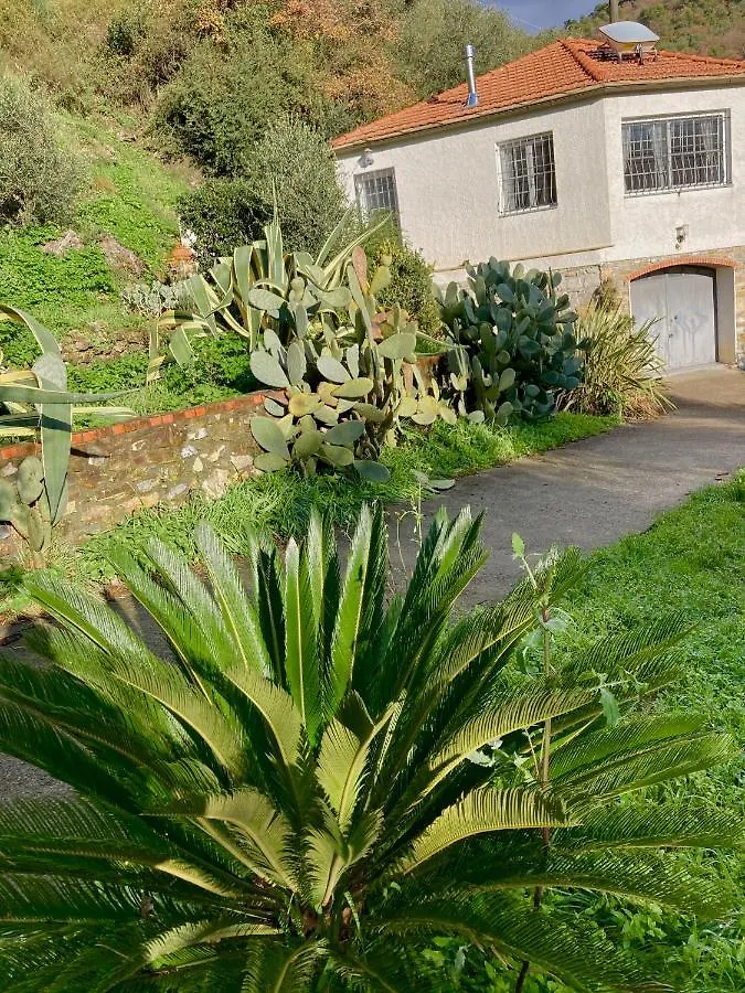 Holiday home Casa Mediterraneo Diano San Pietro Italy