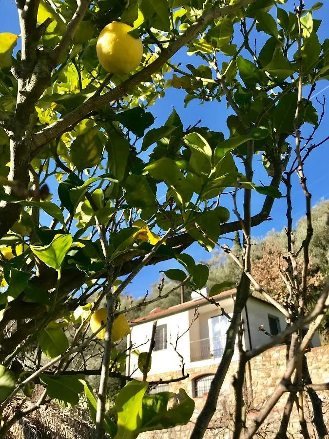Casa Mediterraneo Diano San Pietro