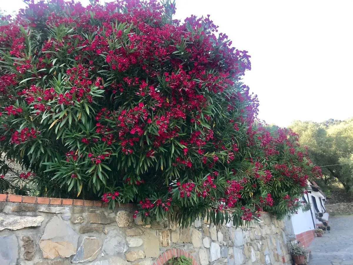Holiday home Casa Mediterraneo Diano San Pietro Italy